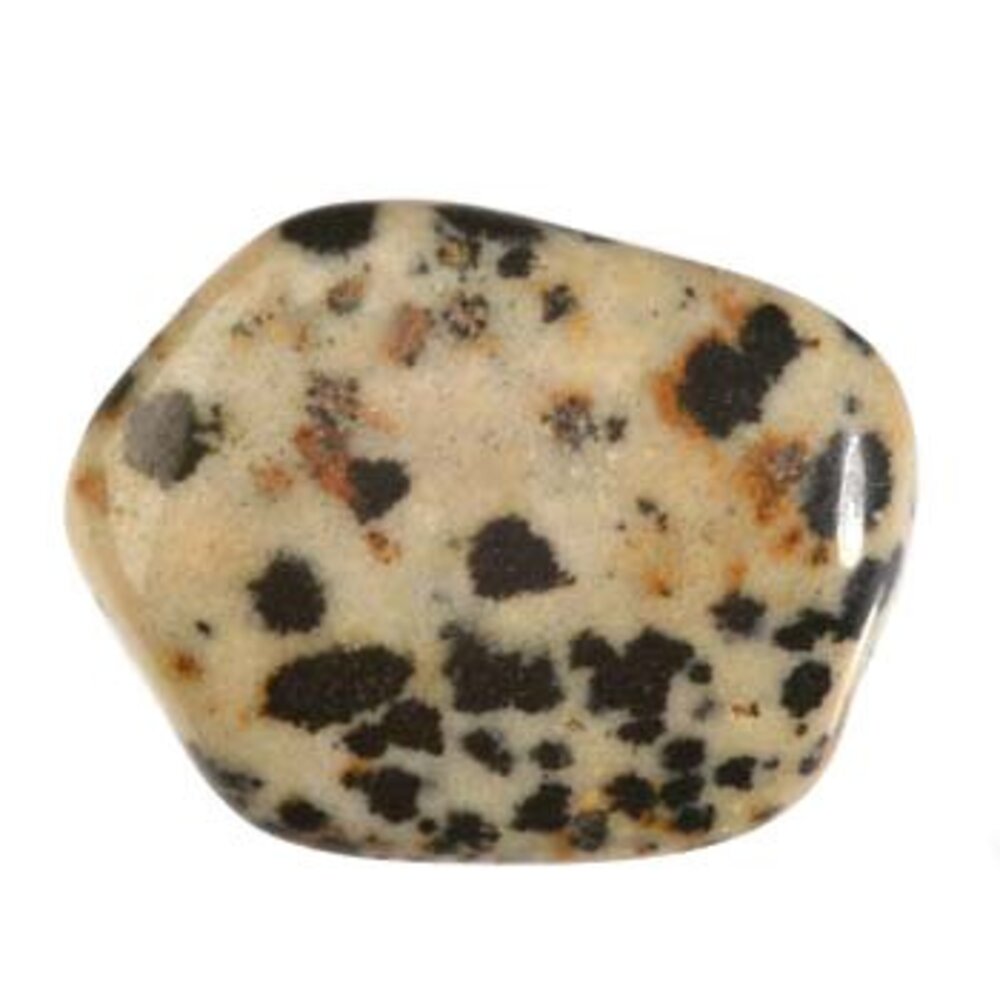 Jaspis (dalmatiër) steen getrommeld 5 - 10 gram Jaspis (dalmatiër) steen getrommeld 5 - 10 gram