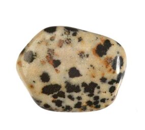 Jaspis (dalmatiër) steen getrommeld 5 - 10 gram Jaspis (dalmatiër) steen getrommeld 5 - 10 gram