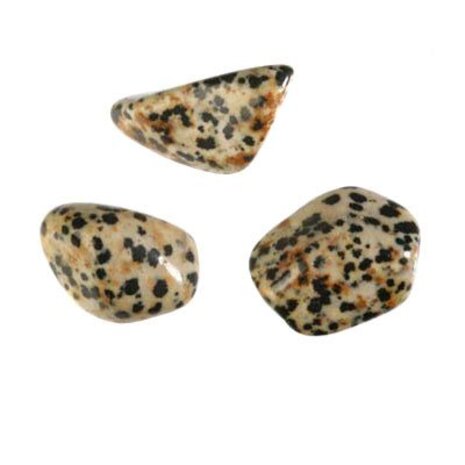 Jaspis (dalmatiër) steen getrommeld 2 - 5 gram Jaspis (dalmatiër) steen getrommeld 2 - 5 gram