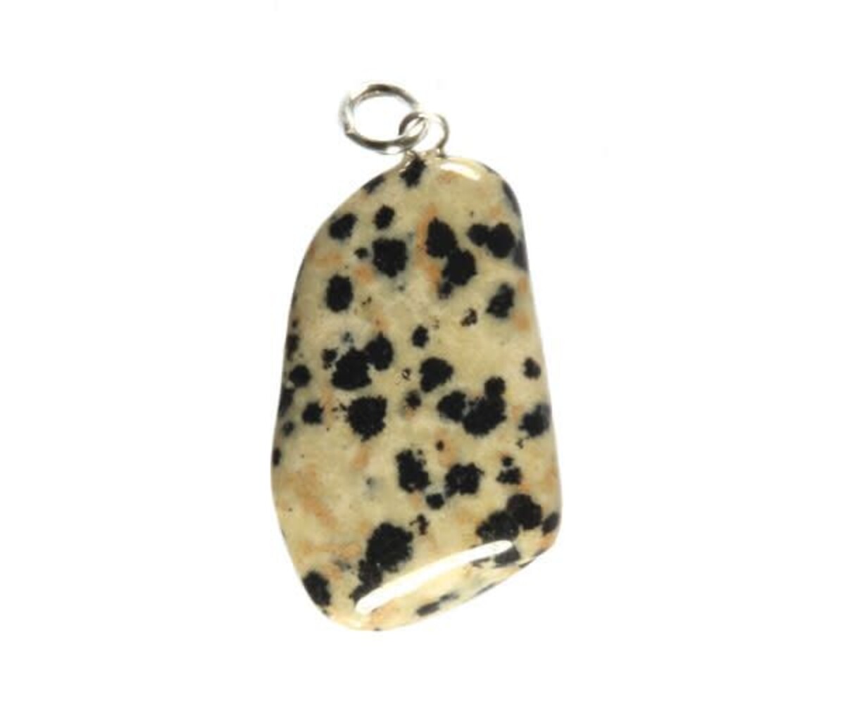 Jaspis (dalmatiër) hanger met zilveren oogje Jaspis (dalmatiër) hanger met zilveren oogje