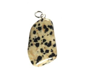 Jaspis (dalmatiër) hanger met zilveren oogje Jaspis (dalmatiër) hanger met zilveren oogje