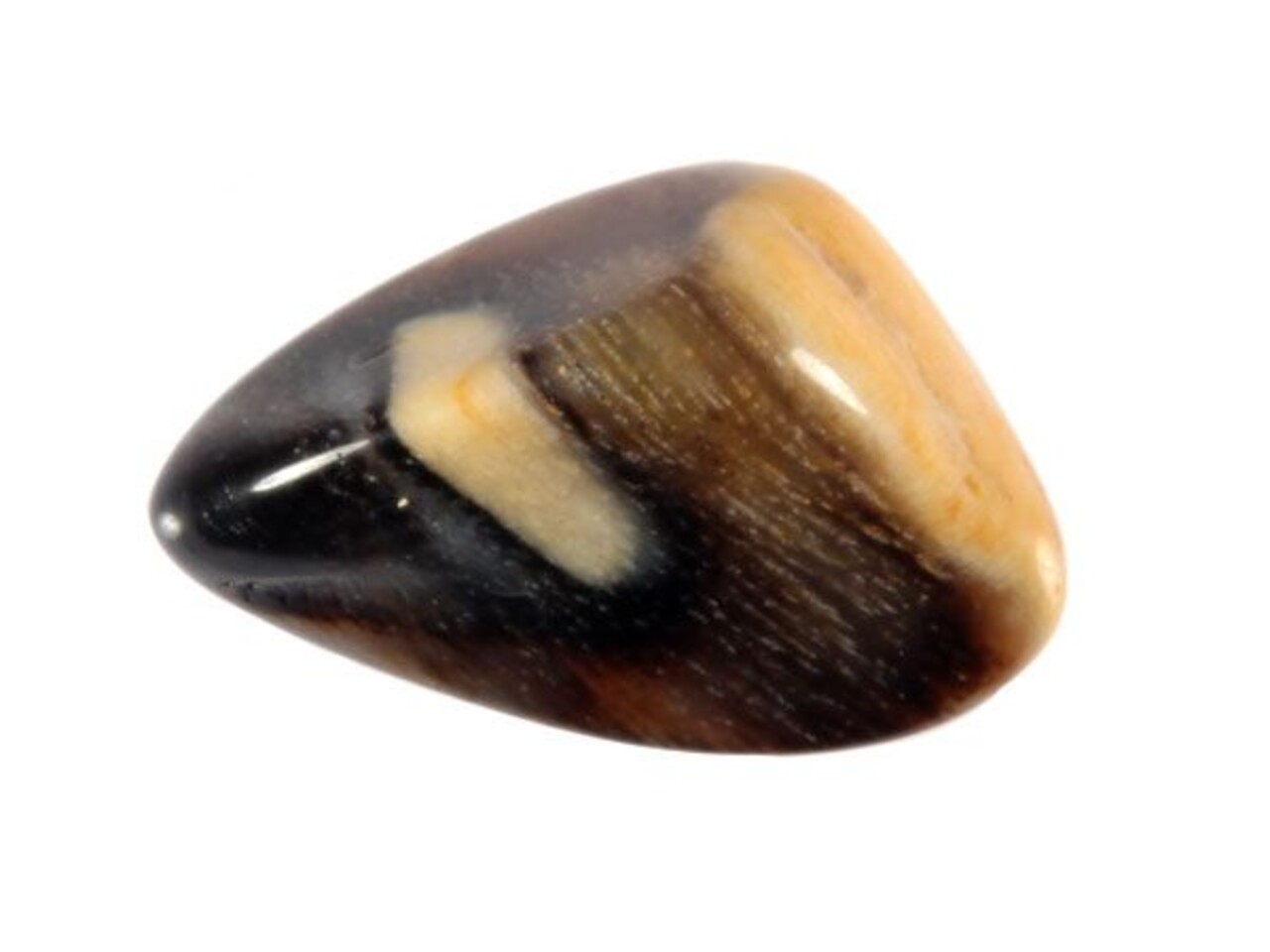 Geopaliseerd hout steen getrommeld 2 - 5 gram Geopaliseerd hout steen getrommeld 2 - 5 gram