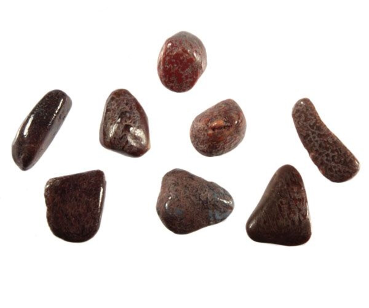 Dinosaurusbot steen getrommeld 5 - 10 gram Dinosaurusbot steen getrommeld 5 - 10 gram