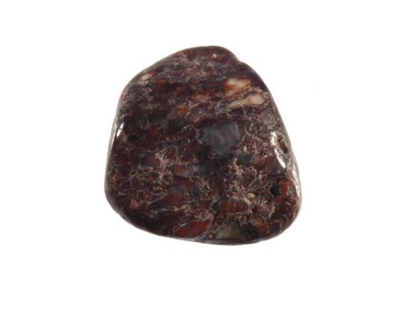 Dinosaurusbot steen getrommeld 5 - 10 gram Dinosaurusbot steen getrommeld 5 - 10 gram
