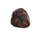 Dinosaurusbot steen getrommeld 2 - 5 gram Dinosaurusbot steen getrommeld 2 - 5 gram