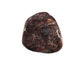 Dinosaurusbot steen getrommeld 2 - 5 gram Dinosaurusbot steen getrommeld 2 - 5 gram