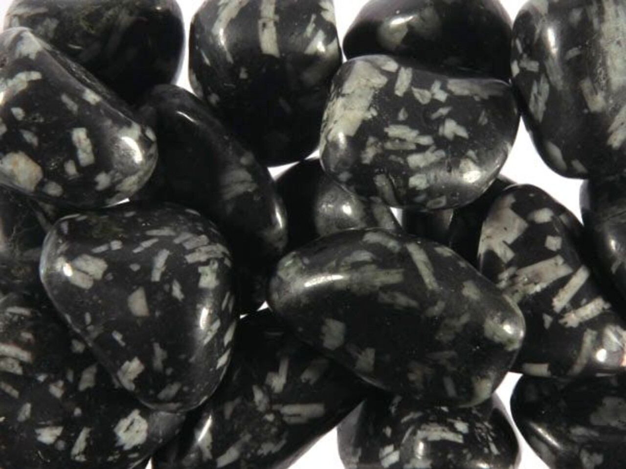 Chrysant steen getrommeld 5 - 10 gram