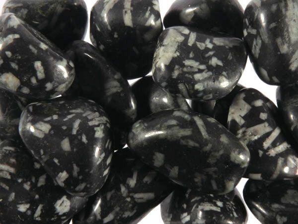 Chrysant steen getrommeld 5 - 10 gram