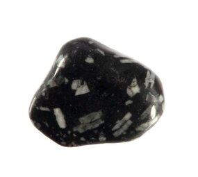 Chrysant steen getrommeld 5 - 10 gram