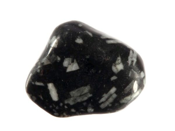 Chrysant steen getrommeld 5 - 10 gram