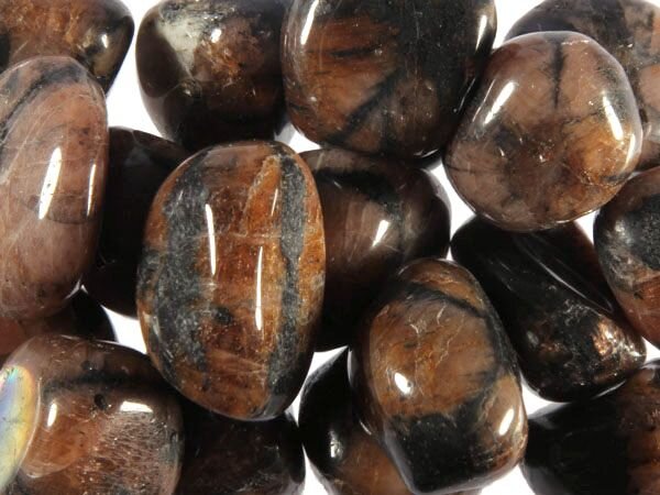 Chiastoliet of kruissteen getrommeld | groot (L) Chiastoliet of kruissteen getrommeld | groot (L)