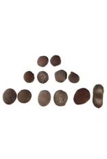 Boji stenen (2 stuks) 15 - 30 gram