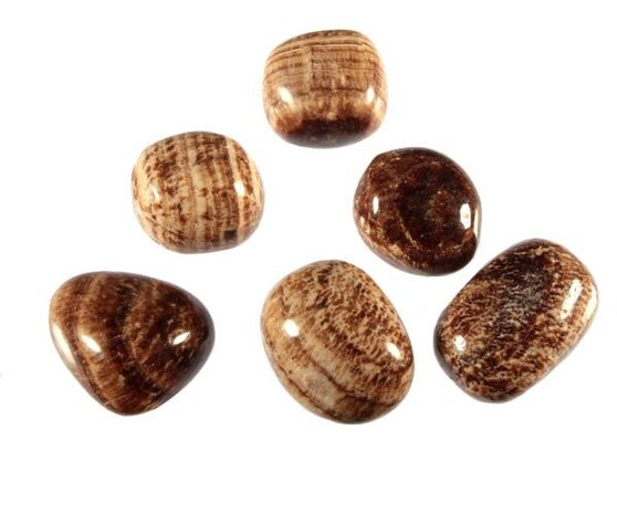 Aragoniet (bruin) steen getrommeld | groot (L)