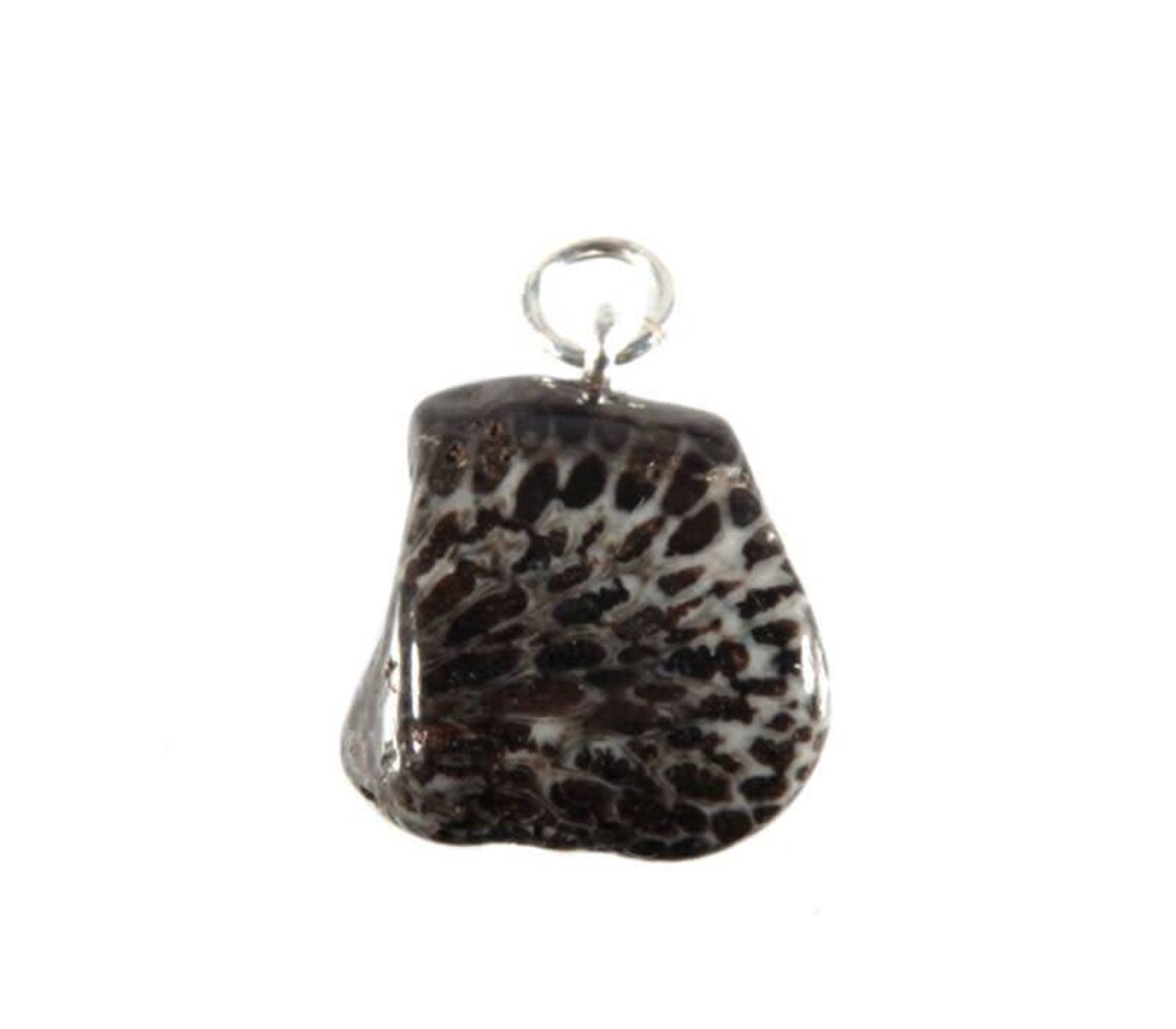 Koraal (versteend) hanger