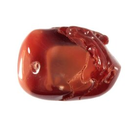 Opaal (vuur) steen getrommeld 5 - 10 gram Opaal (vuur) steen getrommeld 5 - 10 gram