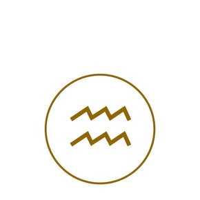 Sterrenbeeld Waterman (21 januari t/m 19 februari)