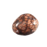 Jaspis (luipaard) steen getrommeld 10 - 20 gram Jaspis (luipaard) steen getrommeld 10 - 20 gram