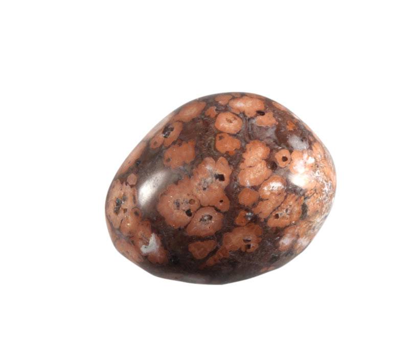 Jaspis (luipaard) steen getrommeld 10 - 20 gram
