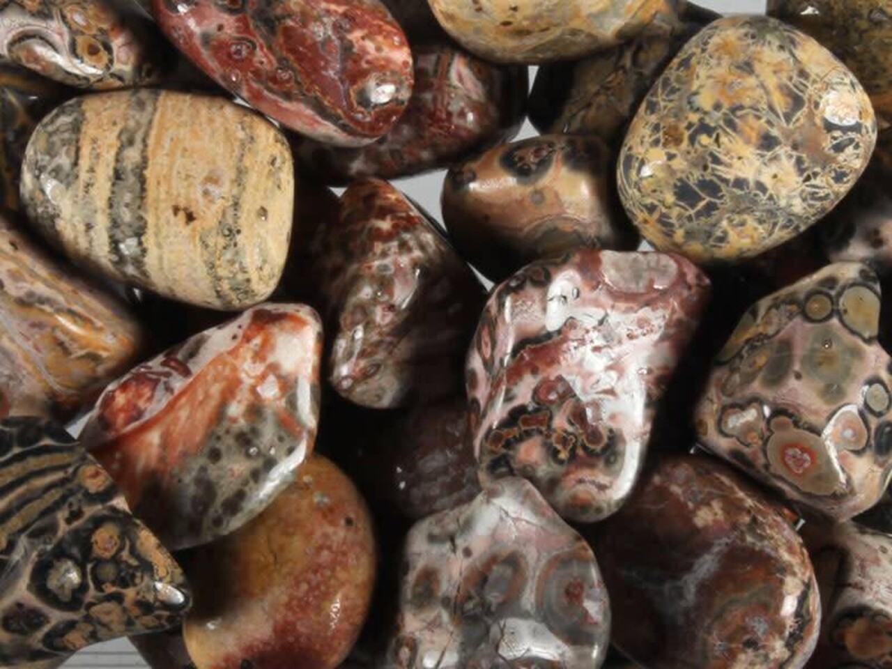 Jaspis (luipaard) steen getrommeld 10 - 20 gram Jaspis (luipaard) steen getrommeld 10 - 20 gram