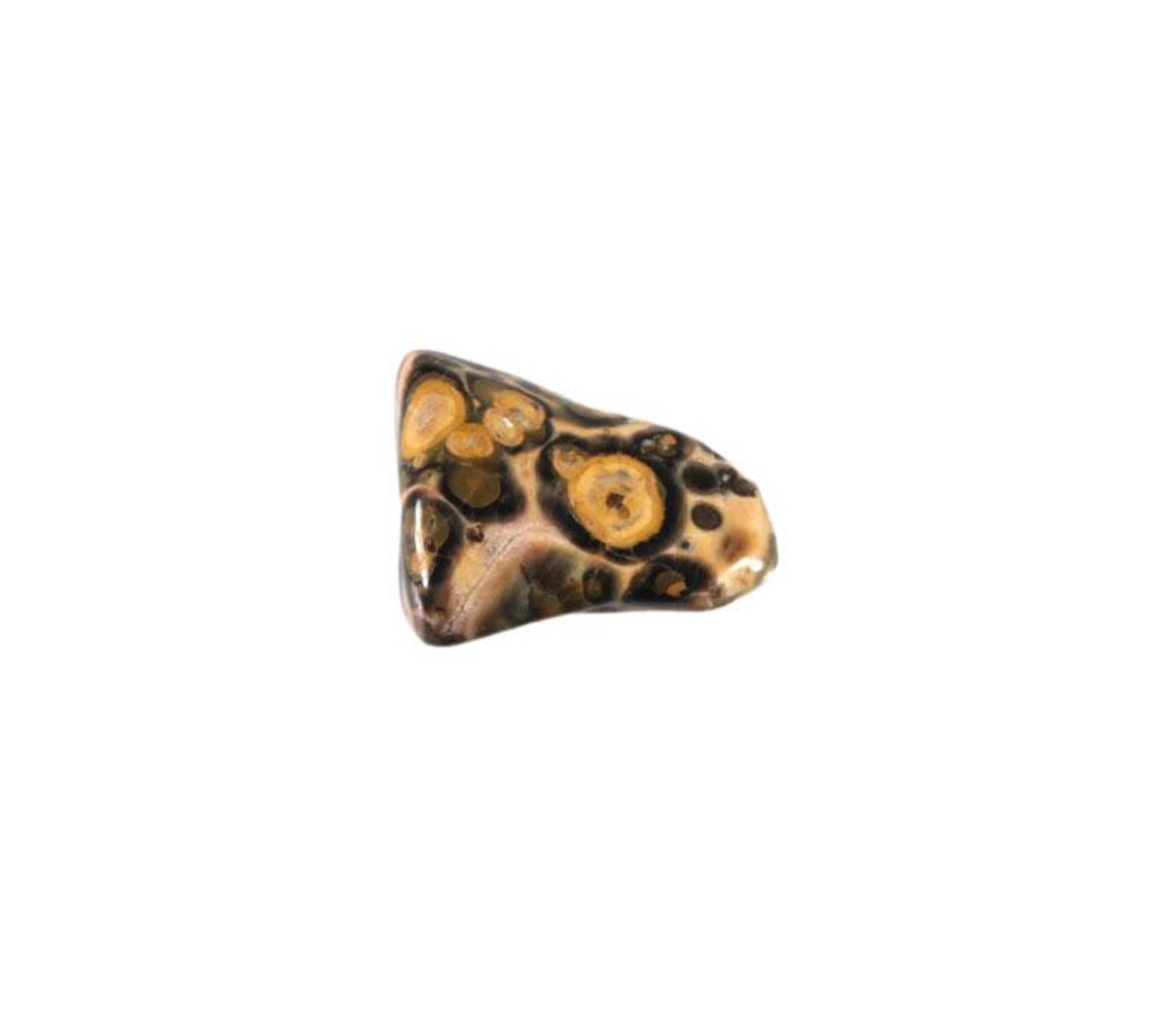 Jaspis (luipaard) steen getrommeld 2 - 5 gram Jaspis (luipaard) steen getrommeld 2 - 5 gram