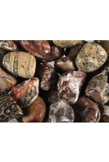 Jaspis (luipaard) steen getrommeld 2 - 5 gram