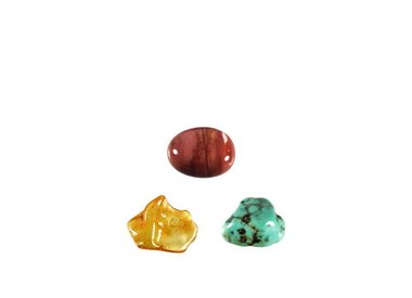 Immuunsysteem & weerstand