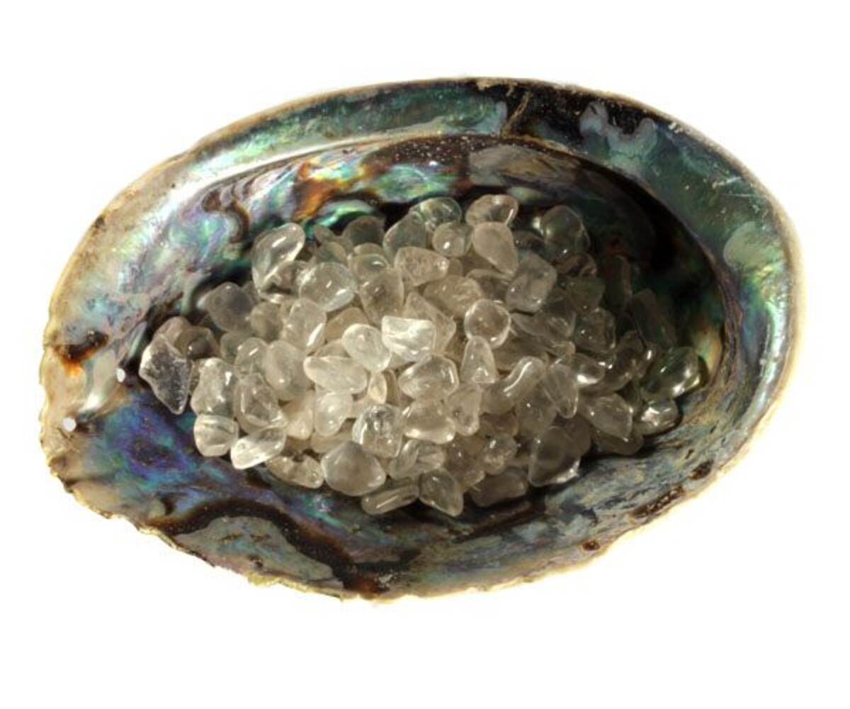 Abalone schelp met bergkristal oplaad mix Abalone schelp met bergkristal oplaad mix