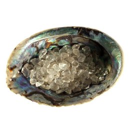 Abalone schelp met bergkristal oplaad mix