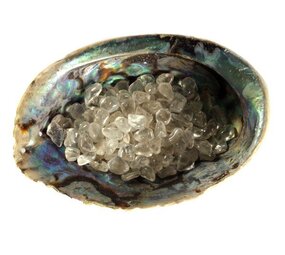 Abalone schelp met bergkristal oplaad mix Abalone schelp met bergkristal oplaad mix