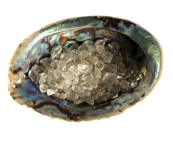 Abalone schelp met bergkristal oplaad mix Abalone schelp met bergkristal oplaad mix