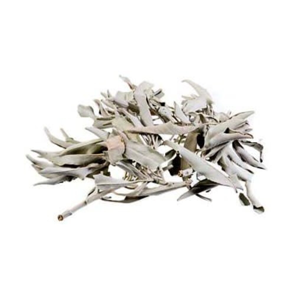Losse witte salie (25 gram) Losse witte salie (25 gram)