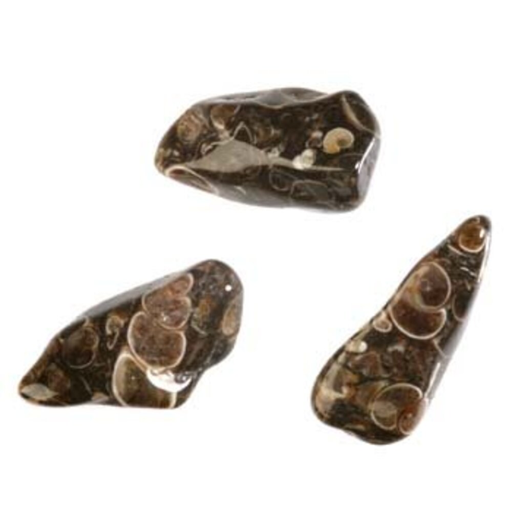 Agaat (turitella) steen getrommeld | groot (L) Agaat (turitella) steen getrommeld | groot (L)