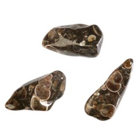 Agaat (turitella) steen getrommeld 10 - 20 gram