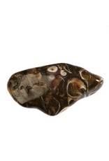 Agaat (turitella) steen getrommeld 10 - 20 gram