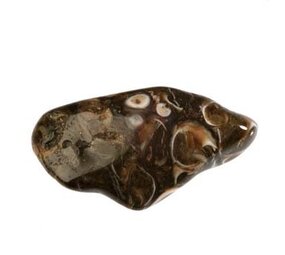 Agaat (turitella) steen getrommeld | groot (L) Agaat (turitella) steen getrommeld | groot (L)
