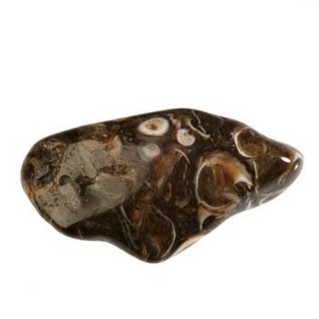 Agaat (turitella) steen getrommeld | groot (L) Agaat (turitella) steen getrommeld | groot (L)