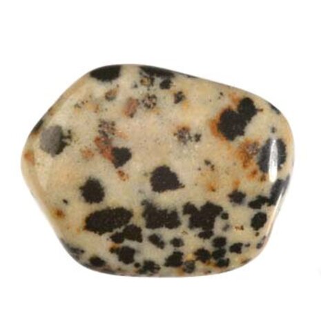 Jaspis (dalmatiër) steen getrommeld 10 - 20 gram Jaspis (dalmatiër) steen getrommeld 10 - 20 gram