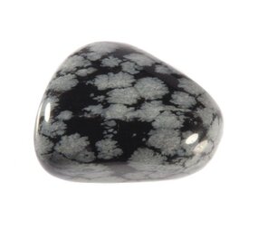 Obsidiaan (sneeuwvlok) steen getrommeld 10 - 20 gram Obsidiaan (sneeuwvlok) steen getrommeld 10 - 20 gram