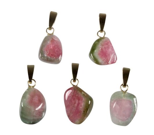 Toermalijn (watermeloen) hanger met 14k gouden oogje Toermalijn (watermeloen) hanger met 14k gouden oogje