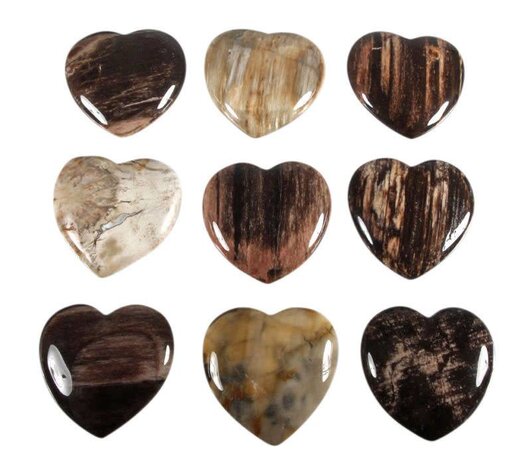 Versteend hout edelsteen hart 4 cm Versteend hout edelsteen hart 4 cm