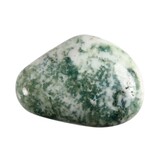 Agaat (boom) steen getrommeld 10 - 20 gram Agaat (boom) steen getrommeld 10 - 20 gram