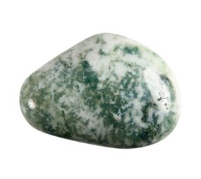 Agaat (boom) steen getrommeld 10 - 20 gram Agaat (boom) steen getrommeld 10 - 20 gram