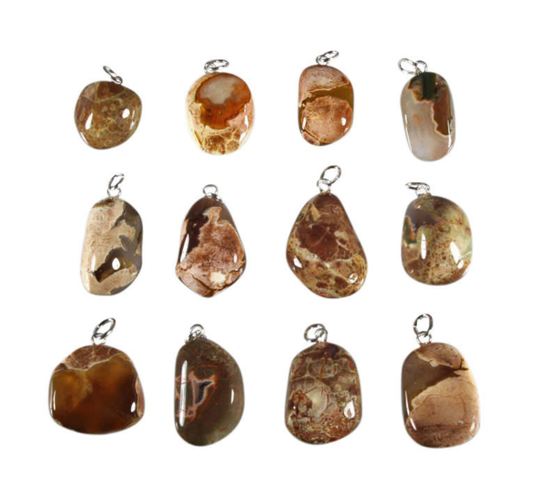 Thunderegg of amulet steen hanger met zilveren oogje Thunderegg of amulet steen hanger met zilveren oogje