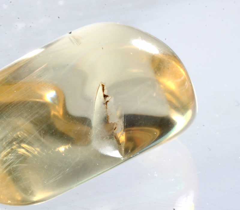 Labradoriet (goud) hanger met zilveren oogje