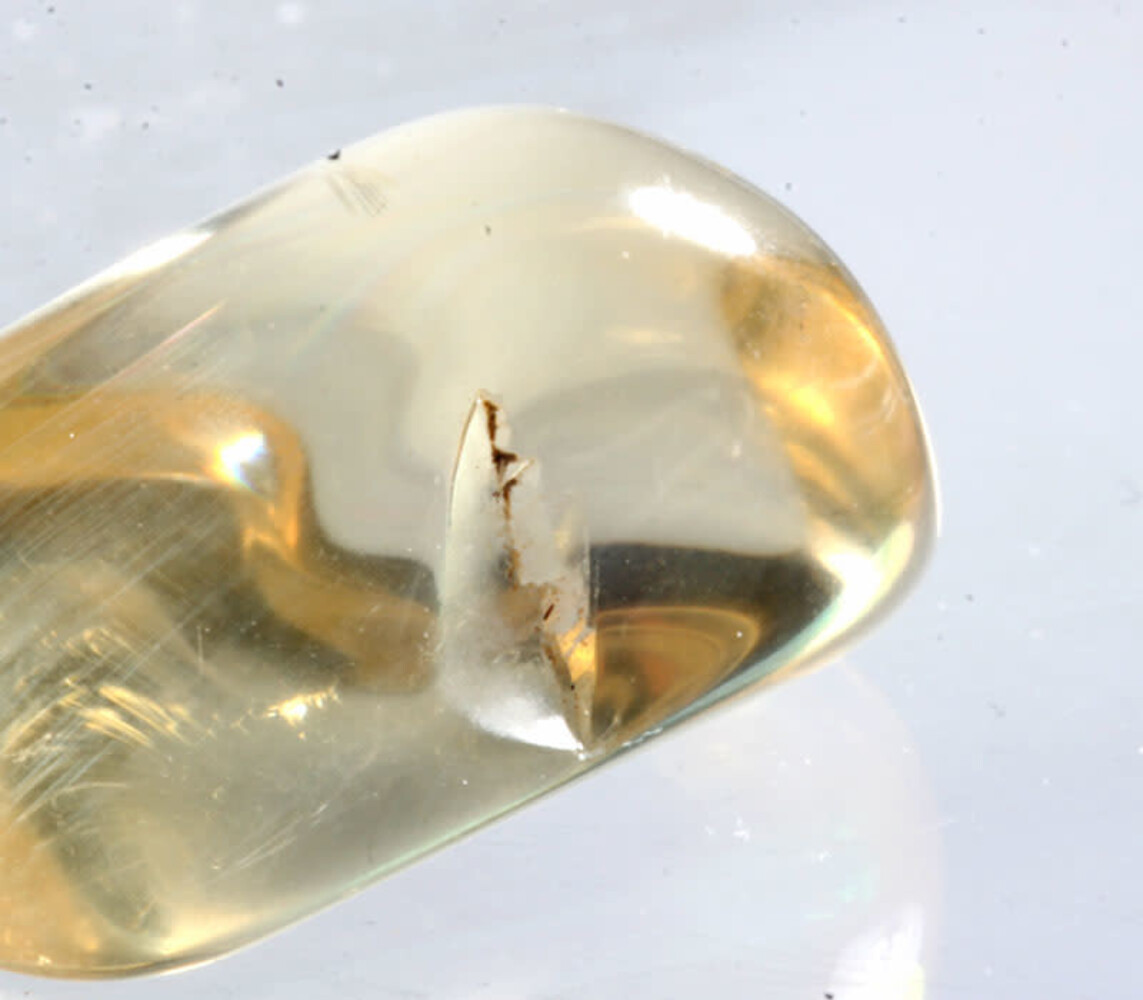 Labradoriet (goud) hanger doorboord Labradoriet (goud) hanger doorboord