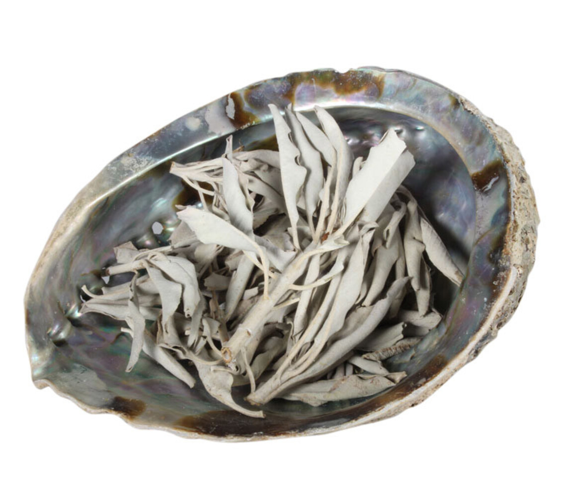 Abalone schelp met witte salie