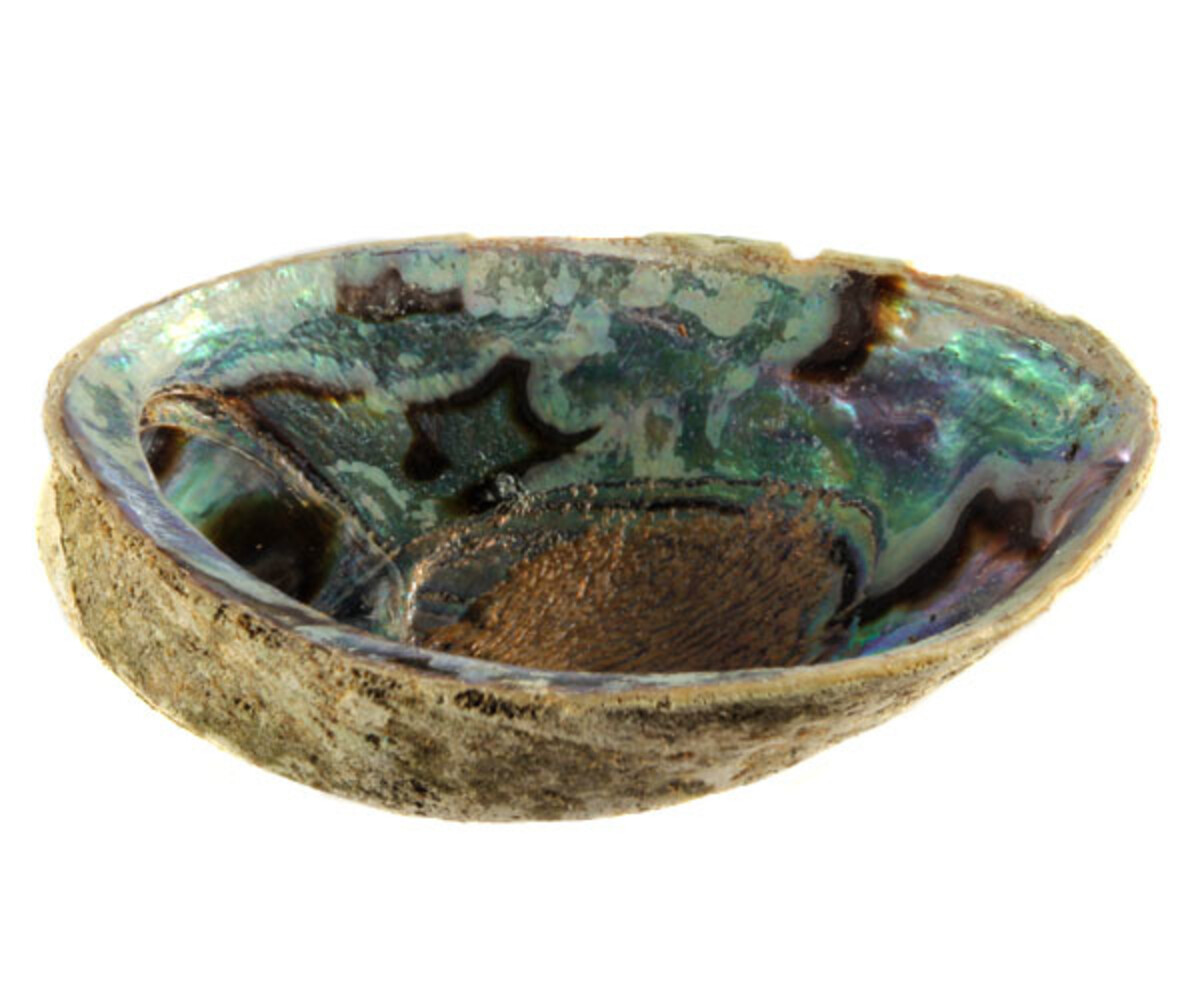 Abalone schelp met amethist ontlaad mix Abalone schelp met amethist ontlaad mix