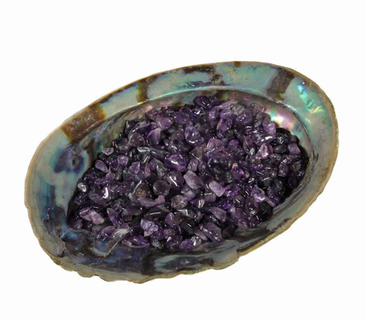 Abalone schelp met amethist ontlaad mix Abalone schelp met amethist ontlaad mix