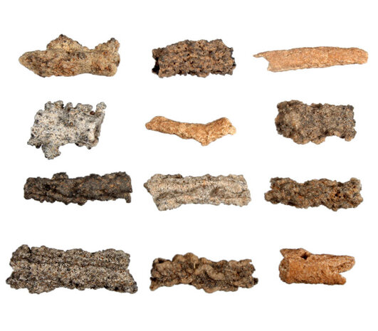 Fulguriet of bliksembuis 1 - 2 gram Fulguriet of bliksembuis 1 - 2 gram