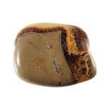 Septarie steen getrommeld 10 - 20 gram Septarie steen getrommeld 10 - 20 gram